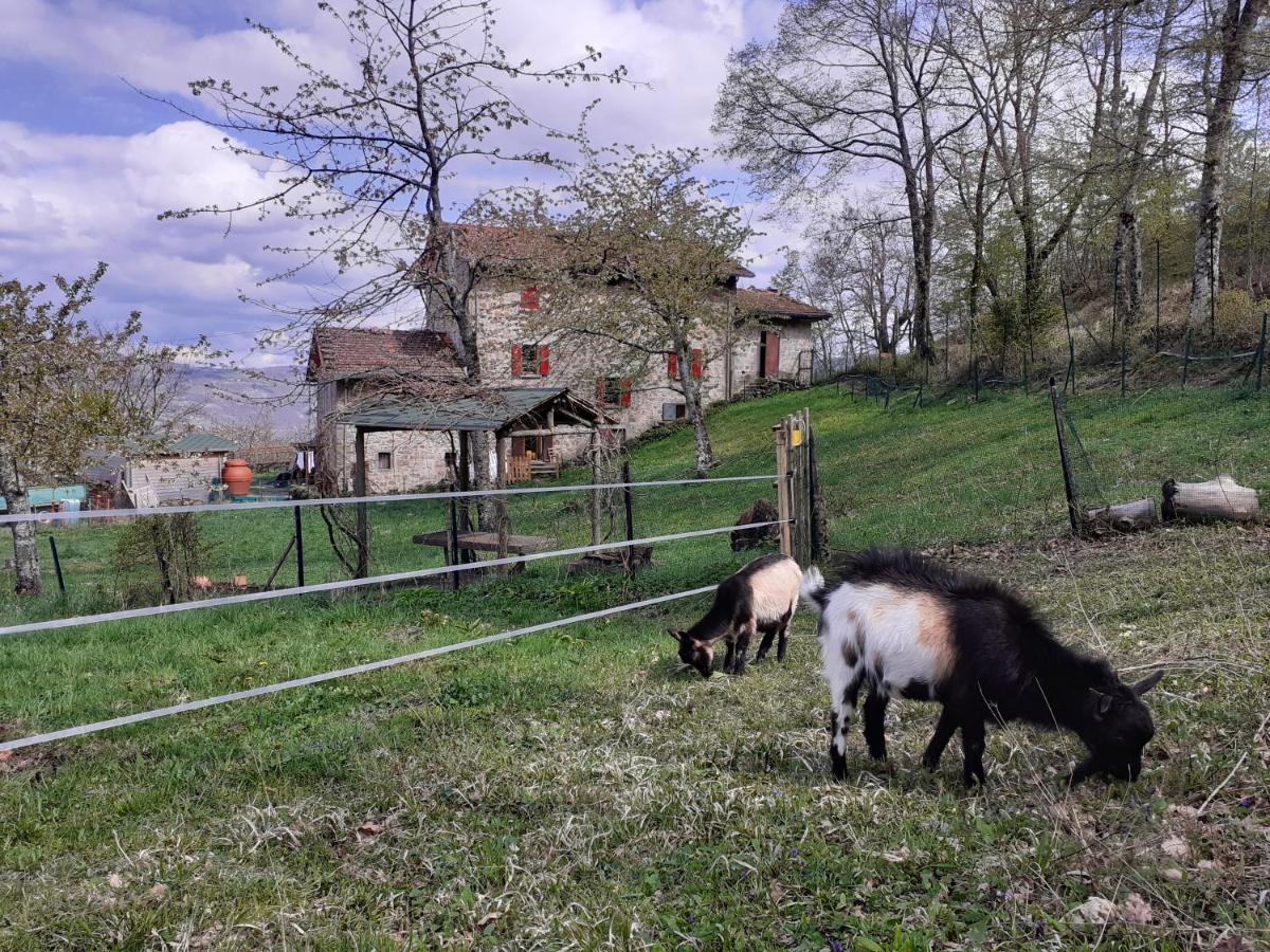 Ca Gennara Agri B&B Porretta Terme Exterior foto